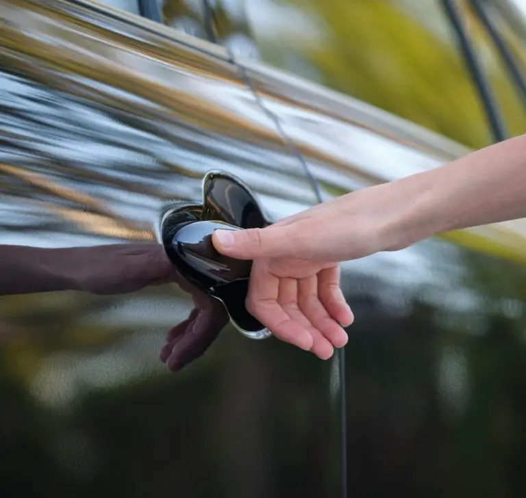 automotive biometric lock systems
