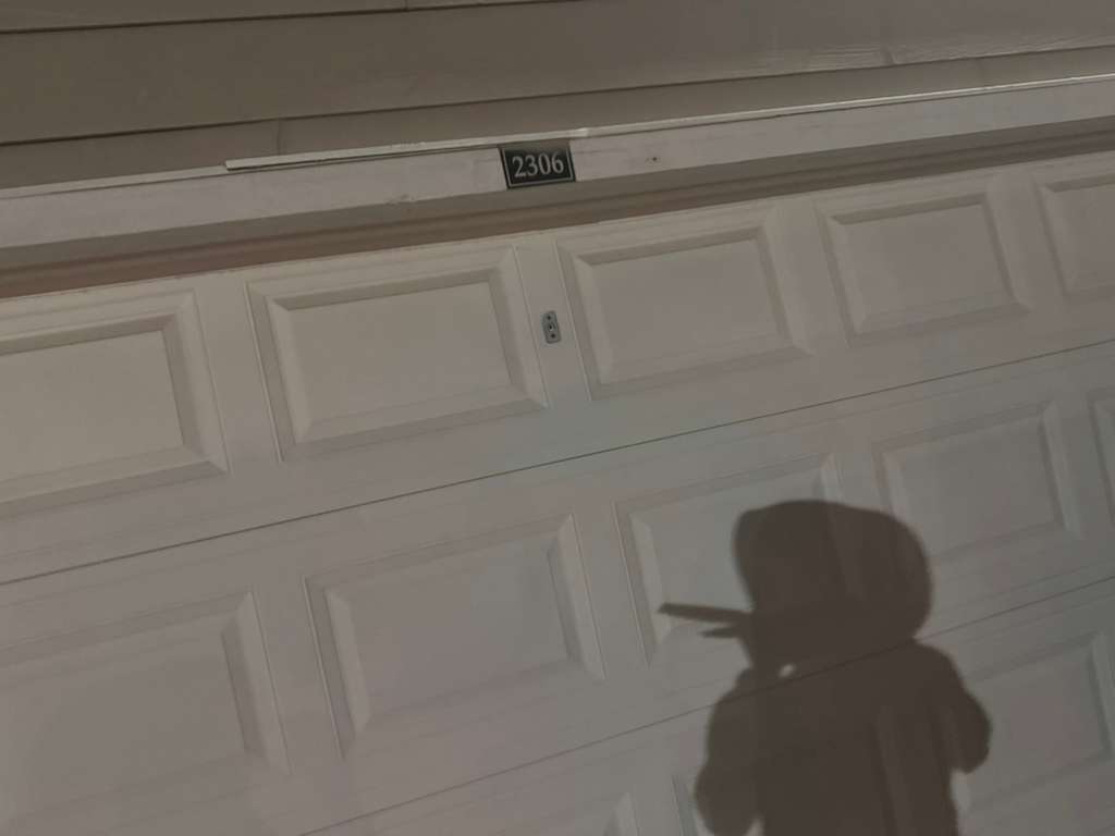 garage door and lock service shown in a real service photo